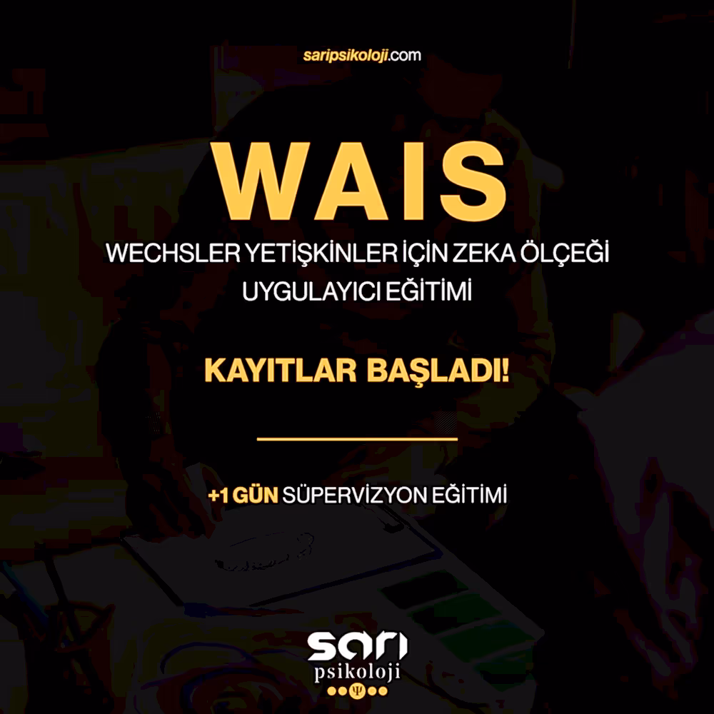 WAIS Yetişkinler için Zeka Testi Eğitimi