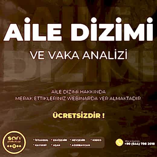 Aile Dizimi